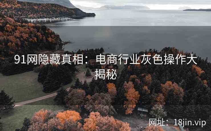91网隐藏真相：电商行业灰色操作大揭秘