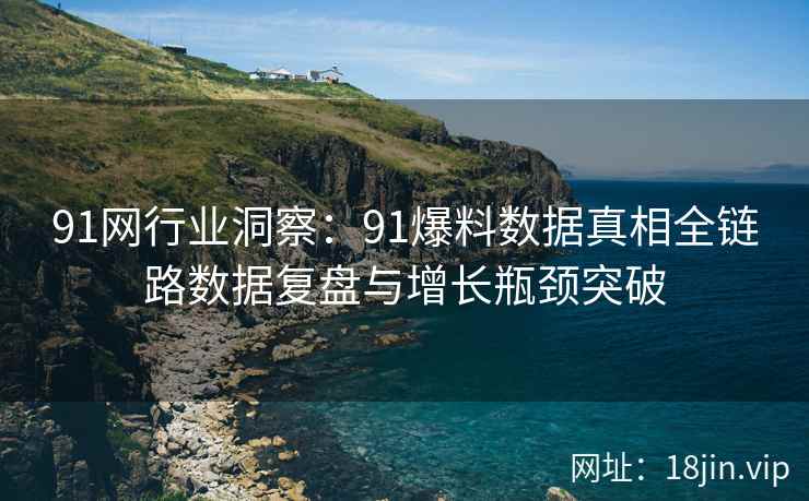 91网行业洞察：91爆料数据真相全链路数据复盘与增长瓶颈突破