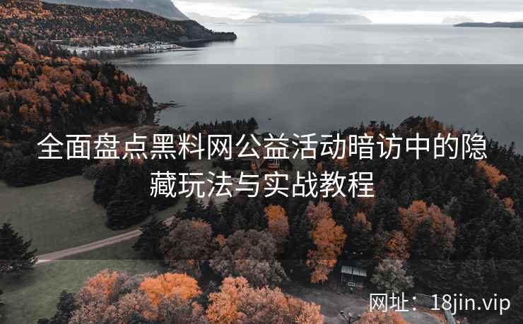 全面盘点黑料网公益活动暗访中的隐藏玩法与实战教程