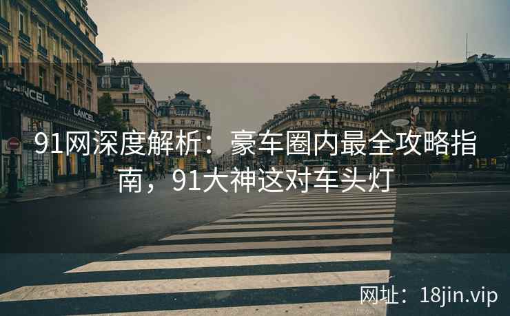 91网深度解析：豪车圈内最全攻略指南，91大神这对车头灯