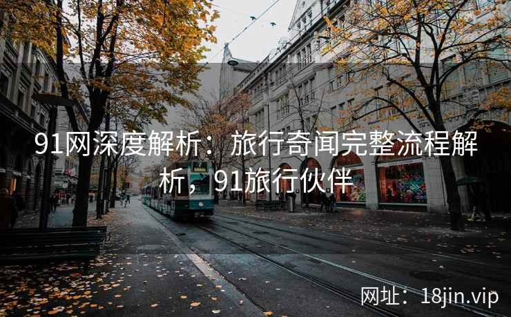 91网深度解析：旅行奇闻完整流程解析，91旅行伙伴