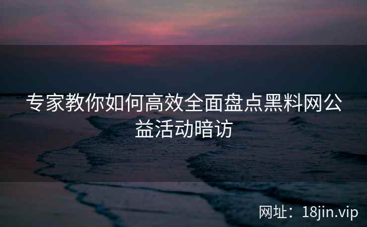 专家教你如何高效全面盘点黑料网公益活动暗访