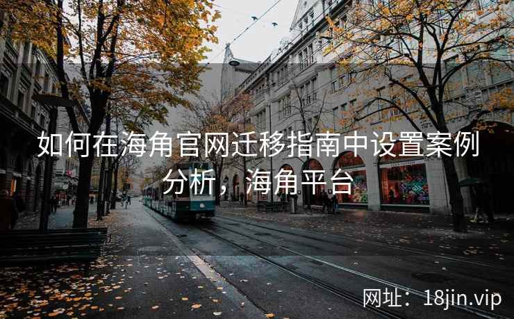 如何在海角官网迁移指南中设置案例分析，海角平台