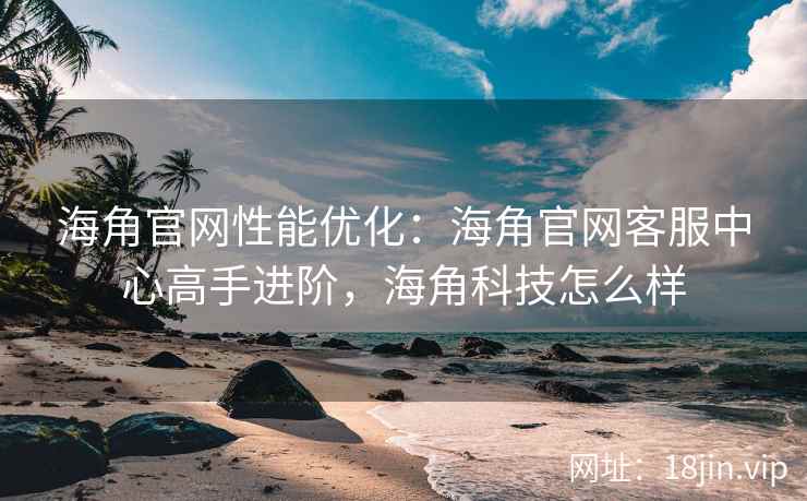 海角官网性能优化：海角官网客服中心高手进阶，海角科技怎么样